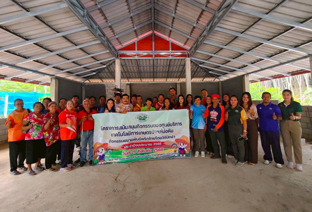 ขยายพันธ์ุพริกไทยโดยวิธีปักชำ