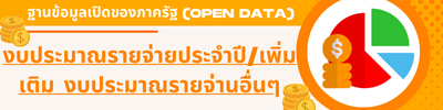 งบประมาณรายจ่ายประจำปี_เพิ่มเติม งบประมาณรายจ่านอื่นๆ