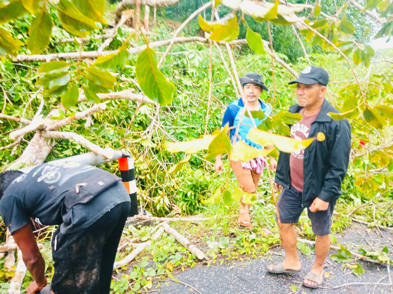 ติดตามสถานการณ์ ซึ่งก็พบว่าความเสียหายที่เกิดขึ้น ลมได้พัดบ้านเรือนราษฎรในตำบลพังเสียหายหลายหลัง ซึ่งจะได้เร่งสำรวจความเสียหายที่เกิดขึ้น เพื่อให้การช่วยเหลือเร่งด่วน